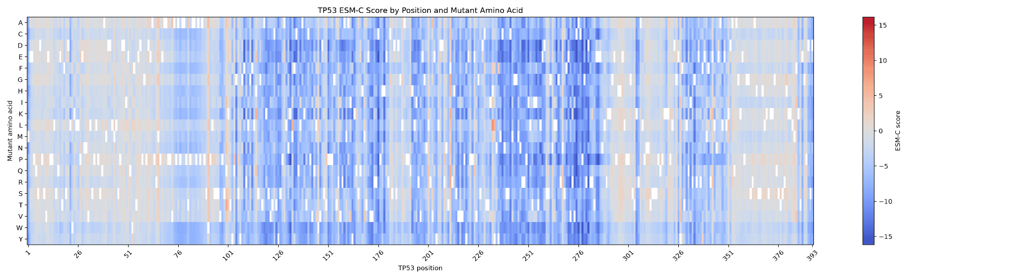 Figure 4: Heatmap of ESM-C scores by TP53 position and substituted amino acid. Blue indicates more negative, disruptive scores; red indicates positive scores.
